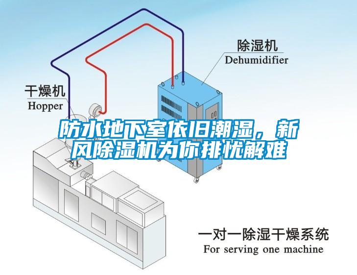 防水地下室依舊潮濕，新風除濕機為你排憂解難