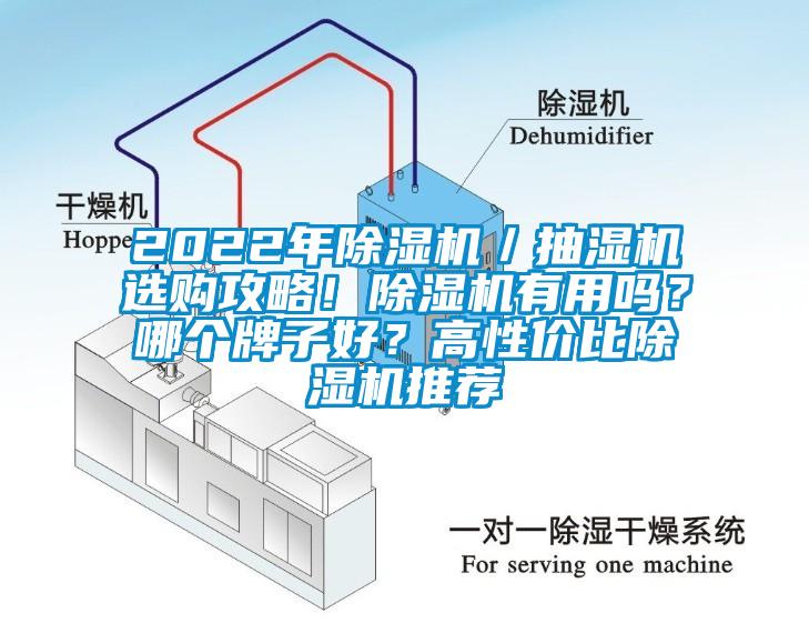 2022年除濕機／抽濕機選購攻略！除濕機有用嗎？哪個牌子好？高性價比除濕機推薦