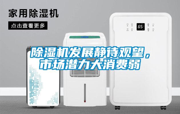 除濕機發(fā)展靜待觀望，市場潛力大消費弱