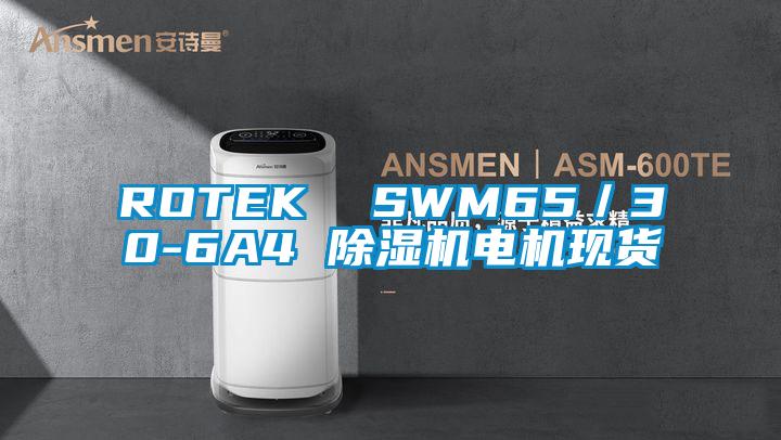 ROTEK  SWM65／30-6A4 除濕機(jī)電機(jī)現(xiàn)貨