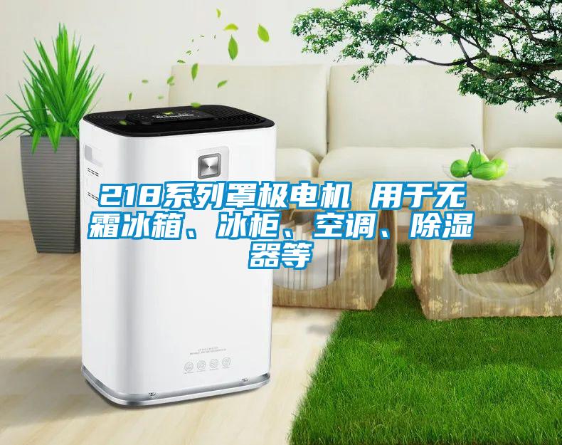 218系列罩極電機(jī) 用于無(wú)霜冰箱、冰柜、空調(diào)、除濕器等