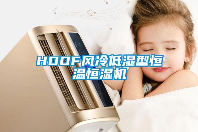 HDDF風(fēng)冷低濕型恒溫恒濕機