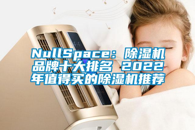 NullSpace：除濕機品牌十大排名 2022年值得買的除濕機推薦