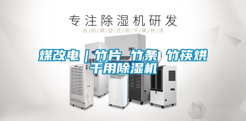 煤改電｜竹片 竹條 竹筷烘干用除濕機