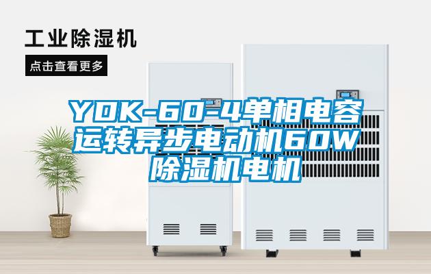 YDK-60-4單相電容運轉(zhuǎn)異步電動機60W 除濕機電機