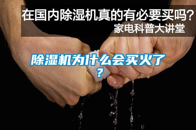 除濕機(jī)為什么會(huì)買(mǎi)火了？