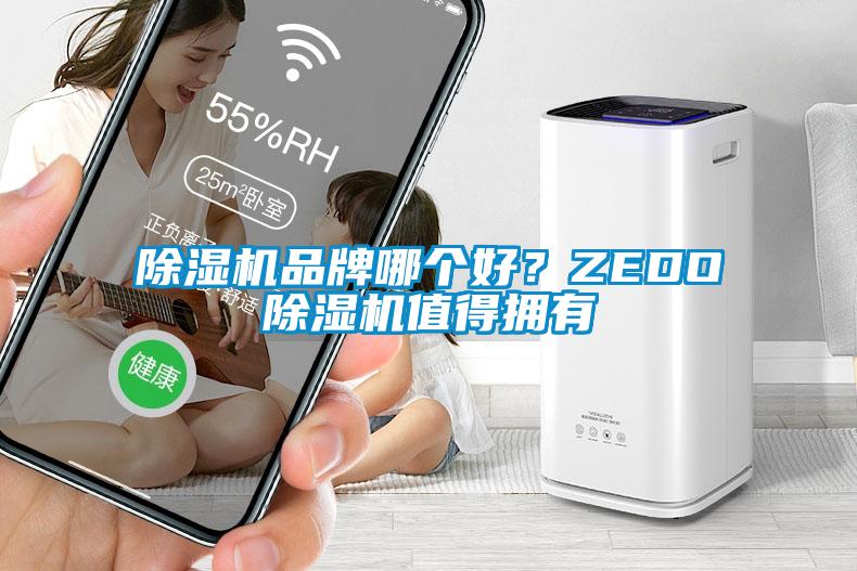 除濕機(jī)品牌哪個(gè)好？ZEDO除濕機(jī)值得擁有