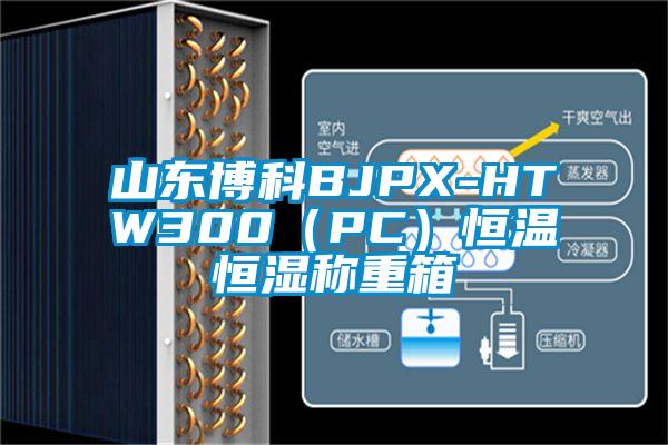 山東博科BJPX-HTW300（PC）恒溫恒濕稱重箱