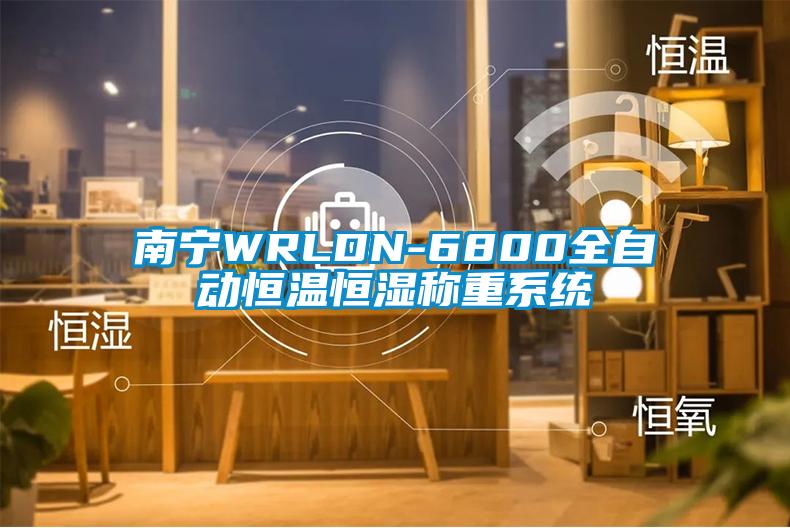 南寧WRLDN-6800全自動恒溫恒濕稱重系統(tǒng)