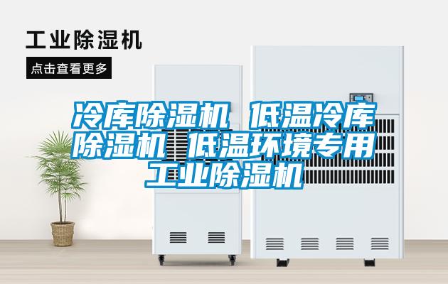 冷庫除濕機 低溫冷庫除濕機 低溫環(huán)境專用工業(yè)除濕機