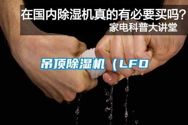 吊頂除濕機(jī)（LFD