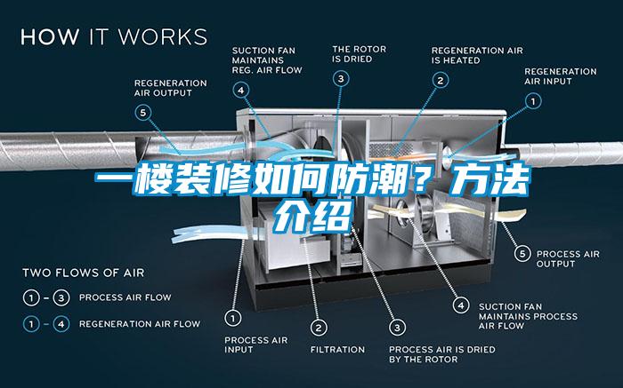 一樓裝修如何防潮？方法介紹