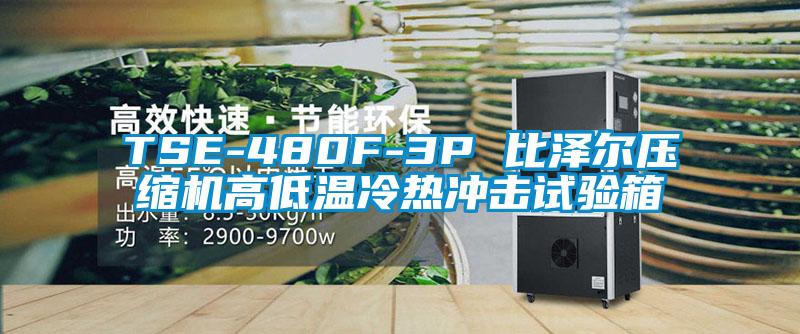 TSE-480F-3P 比澤爾壓縮機(jī)高低溫冷熱沖擊試驗(yàn)箱