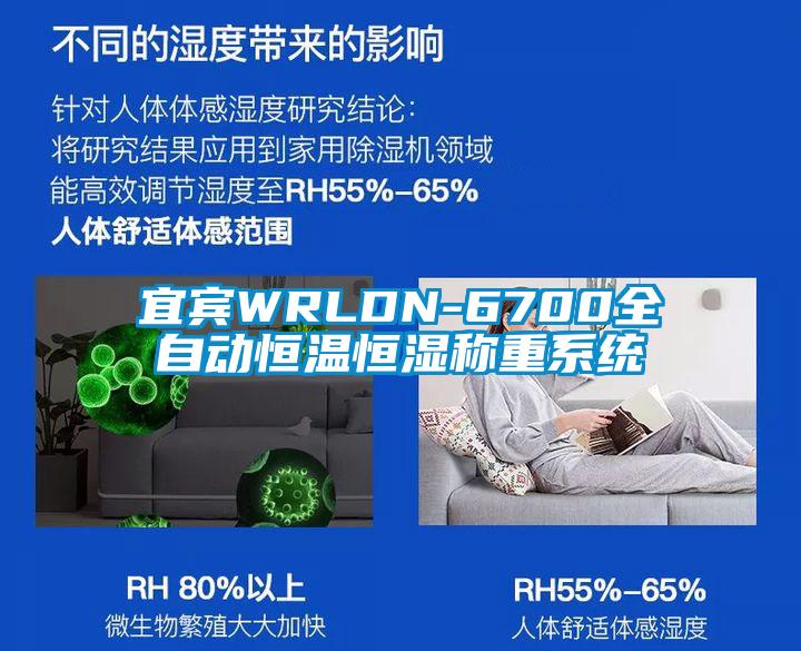 宜賓WRLDN-6700全自動恒溫恒濕稱重系統(tǒng)