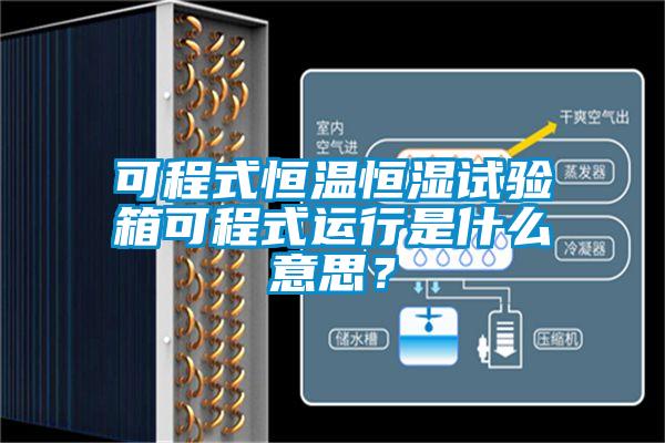 可程式恒溫恒濕試驗箱可程式運行是什么意思？