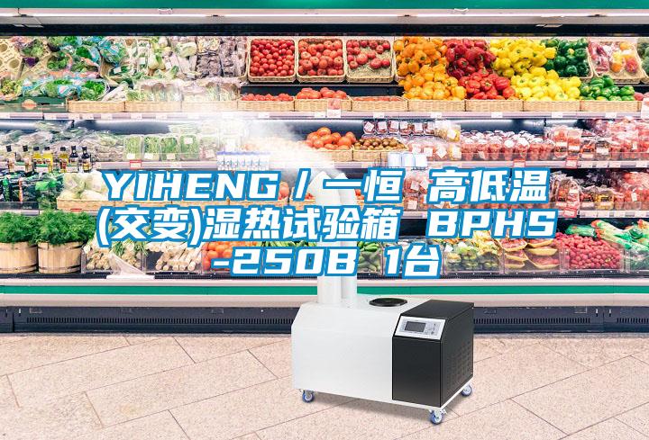 YIHENG／一恒 高低溫(交變)濕熱試驗(yàn)箱 BPHS-250B 1臺(tái)