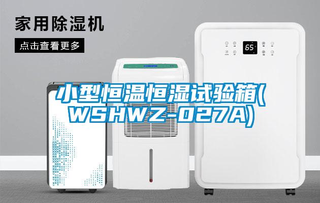 小型恒溫恒濕試驗(yàn)箱(WSHWZ-027A)