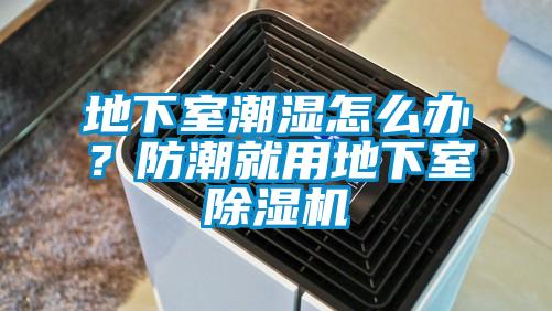 地下室潮濕怎么辦？防潮就用地下室除濕機