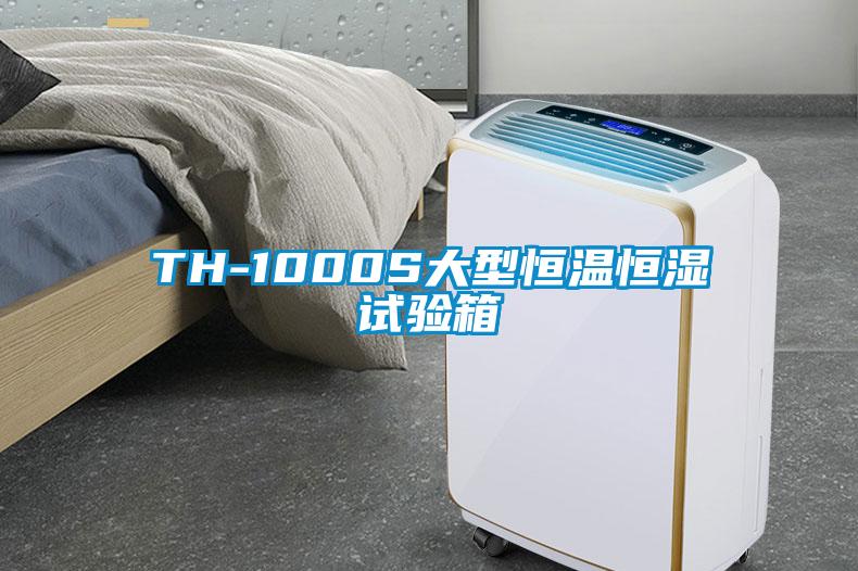 TH-1000S大型恒溫恒濕試驗(yàn)箱