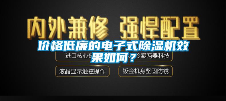 價格低廉的電子式除濕機效果如何？