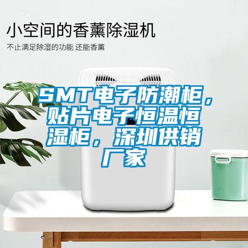 SMT電子防潮柜，貼片電子恒溫恒濕柜，深圳供銷廠家