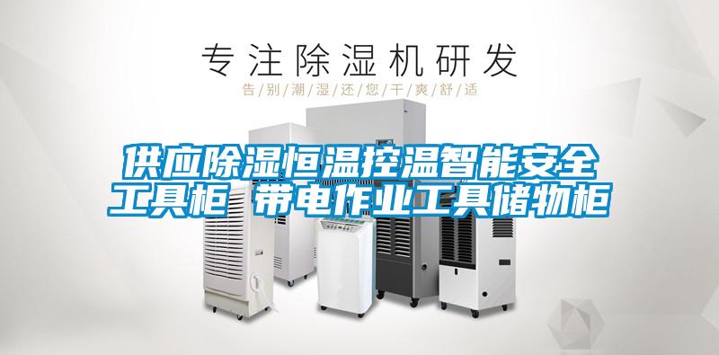 供應(yīng)除濕恒溫控溫智能安全工具柜 帶電作業(yè)工具儲物柜