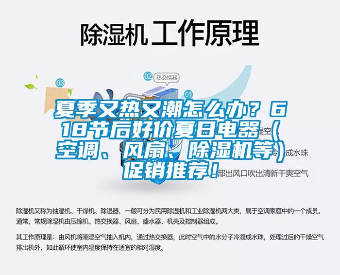 夏季又熱又潮怎么辦？618節(jié)后好價夏日電器（空調(diào)、風扇、除濕機等）促銷推薦！