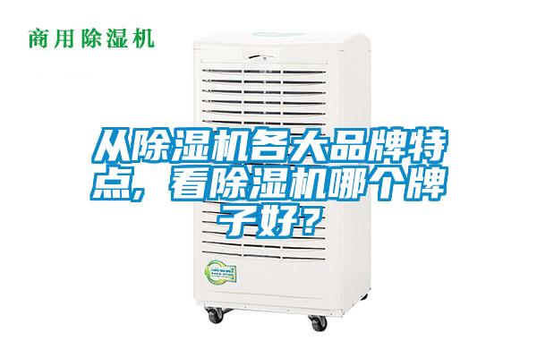 從除濕機(jī)各大品牌特點(diǎn), 看除濕機(jī)哪個(gè)牌子好？