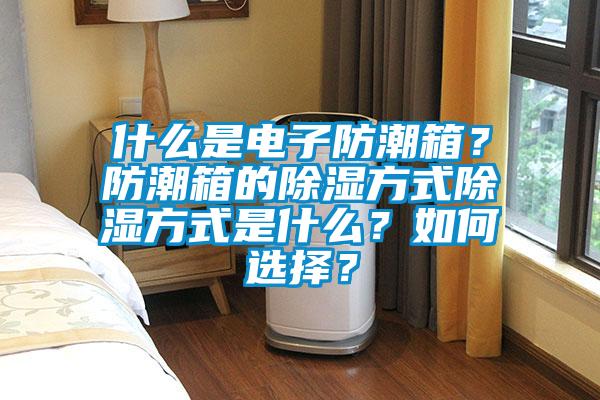 什么是電子防潮箱？防潮箱的除濕方式除濕方式是什么？如何選擇？