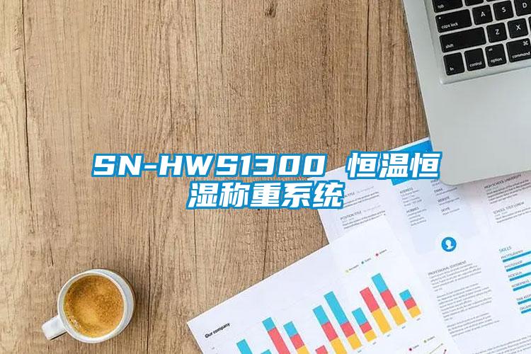 SN-HWS1300 恒溫恒濕稱重系統(tǒng)