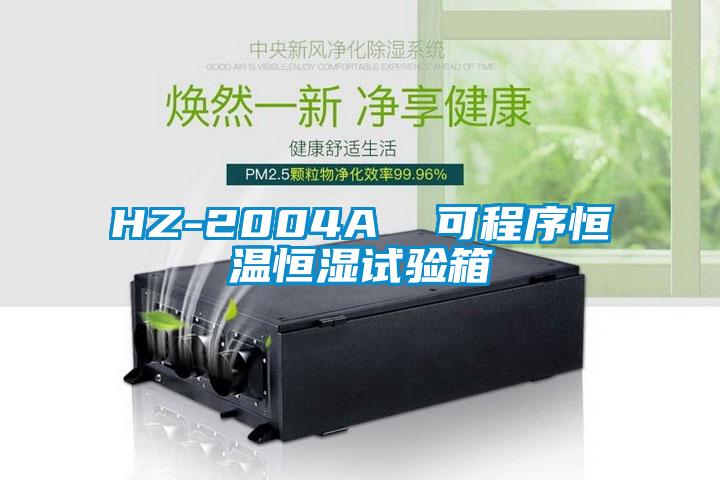 HZ-2004A  可程序恒溫恒濕試驗(yàn)箱