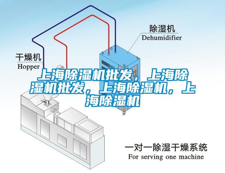 上海除濕機批發(fā)，上海除濕機批發(fā)，上海除濕機，上海除濕機