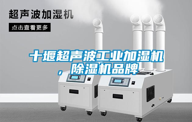 十堰超聲波工業(yè)加濕機(jī)，除濕機(jī)品牌