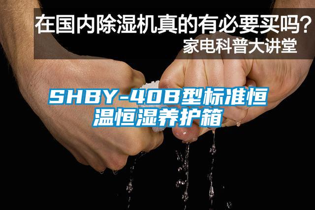 SHBY-40B型標準恒溫恒濕養(yǎng)護箱