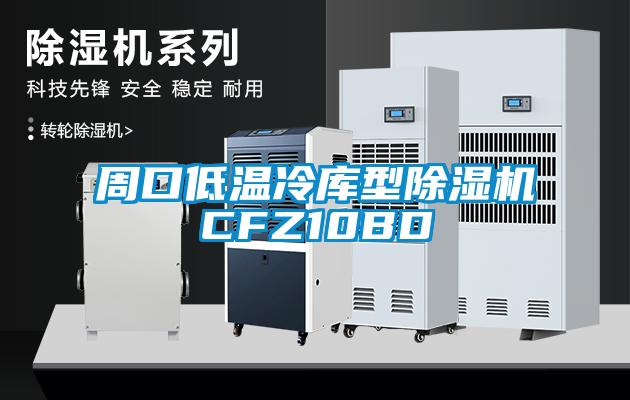 周口低溫冷庫型除濕機(jī)CFZ10BD