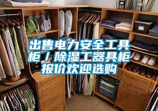 出售電力安全工具柜／除濕工器具柜報價歡迎選購