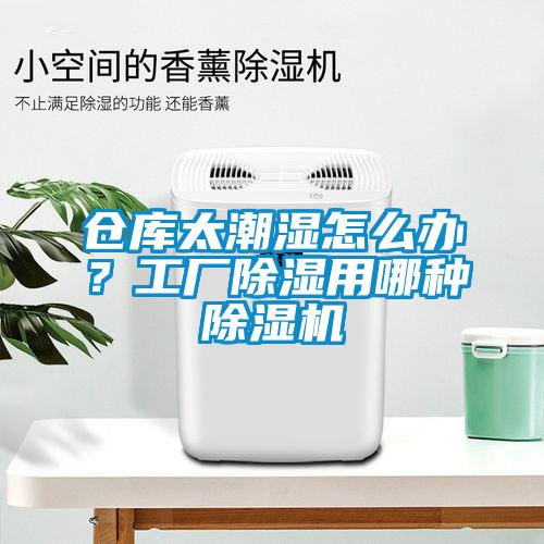 倉庫太潮濕怎么辦？工廠除濕用哪種除濕機(jī)