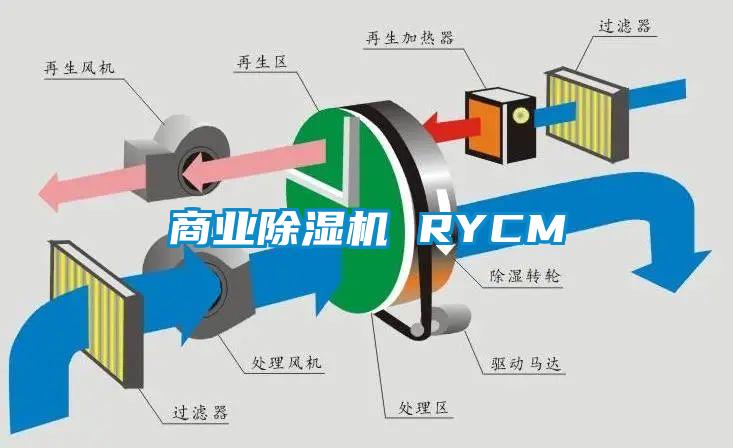 商業(yè)除濕機(jī) RYCM