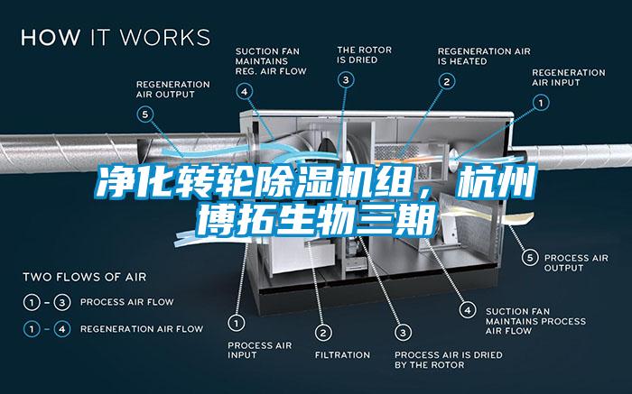 凈化轉(zhuǎn)輪除濕機組，杭州博拓生物三期