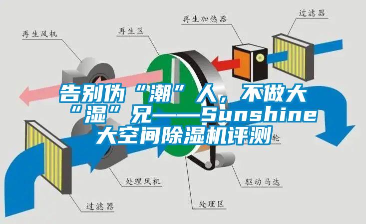 告別偽“潮”人，不做大“濕”兄——Sunshine大空間除濕機(jī)評測