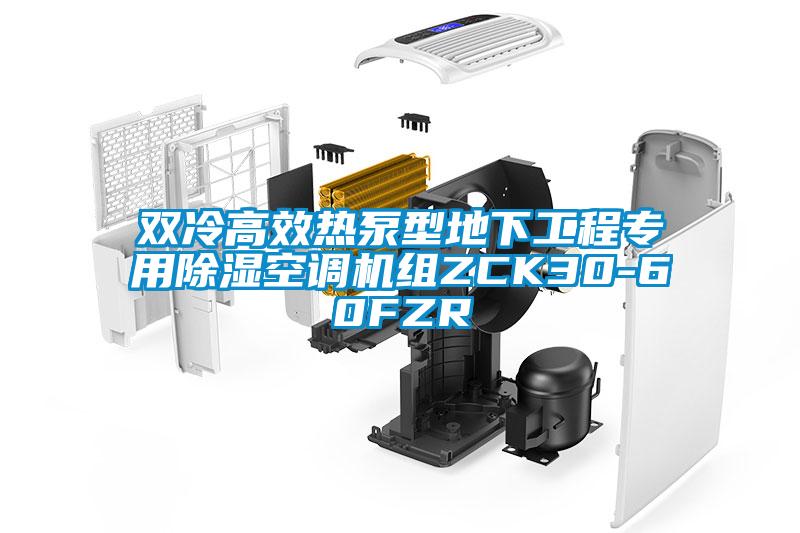 雙冷高效熱泵型地下工程專用除濕空調(diào)機(jī)組ZCK30-60FZR