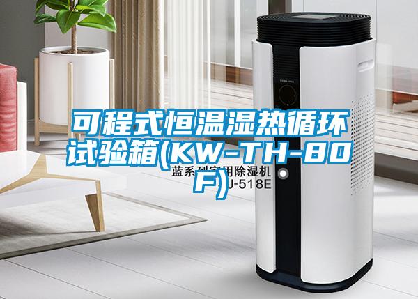 可程式恒溫濕熱循環(huán)試驗(yàn)箱(KW-TH-80F)