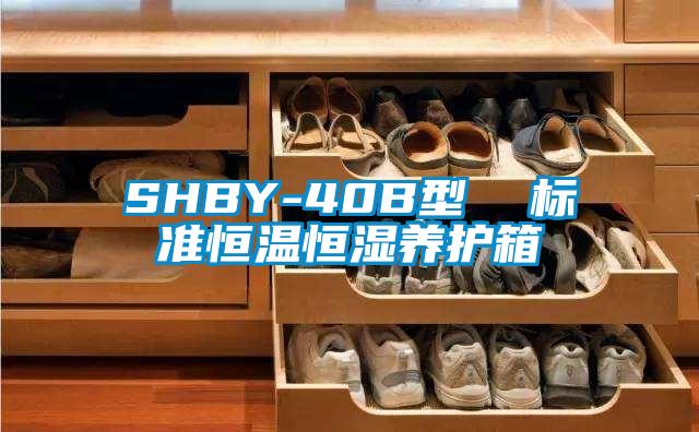 SHBY-40B型  標準恒溫恒濕養(yǎng)護箱