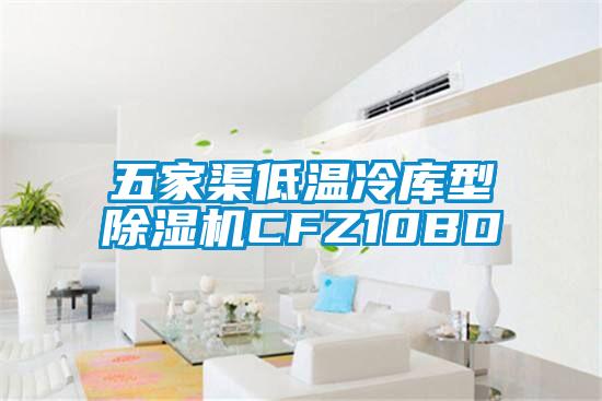 五家渠低溫冷庫型除濕機(jī)CFZ10BD