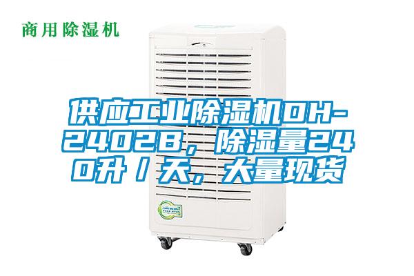 供應(yīng)工業(yè)除濕機DH-2402B，除濕量240升／天，大量現(xiàn)貨