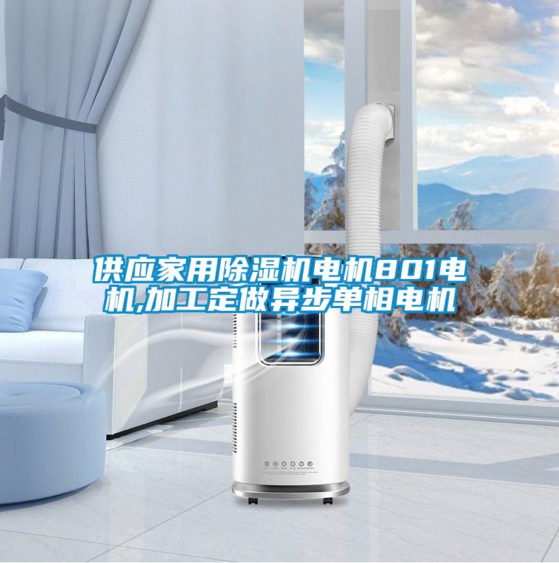 供應(yīng)家用除濕機電機801電機,加工定做異步單相電機