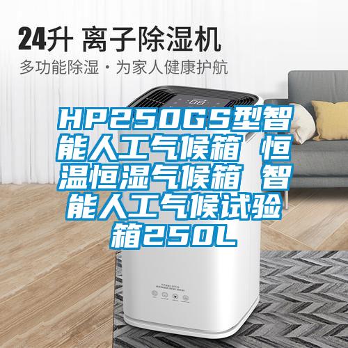 HP250GS型智能人工氣候箱 恒溫恒濕氣候箱 智能人工氣候試驗(yàn)箱250L