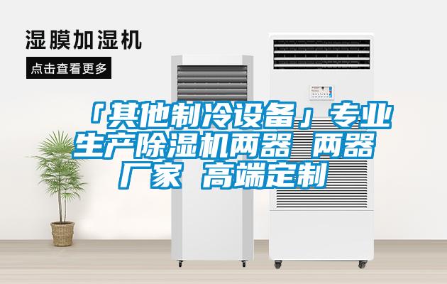 「其他制冷設(shè)備」專業(yè)生產(chǎn)除濕機(jī)兩器 兩器廠家 高端定制