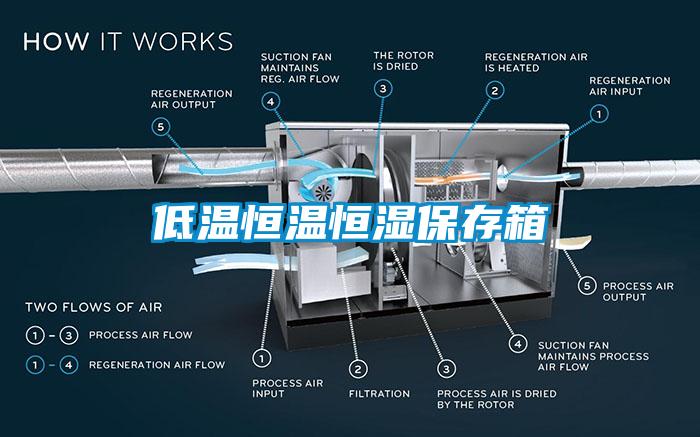 低溫恒溫恒濕保存箱