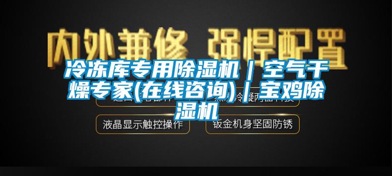 冷凍庫(kù)專用除濕機(jī)｜空氣干燥專家(在線咨詢)｜寶雞除濕機(jī)